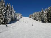 Descente sud téléski Rittisberg