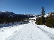 Dernier tronçon de la piste n° 1 Armentarola