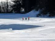 Skieurs de fond à Savognin