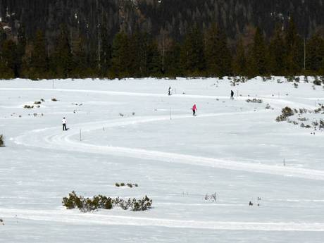 Ski nordique Zillertal (vallée de la Ziller) – Ski nordique Zillertal Arena – Zell am Ziller/Gerlos/Königsleiten/Hochkrimml