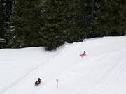 Piste de luge Rinerhorn