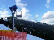 Canon à neige au Grouse Mountain