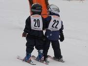 C'est parti pour la course des petits skieurs