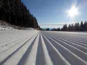 Piste parfaitement préparée dans le domaine skiable de Mönichkirchen/Mariensee