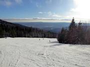 Piste facile à travers la haute forêt dans la partie supérieure