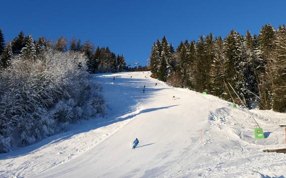 Diversité des pistes Alpsee-Grünten – Diversité des pistes Ofterschwang/Gunzesried – Ofterschwanger Horn Diversité des pistes Alpsee-Grünten – Diversité des pistes Ofterschwang/Gunzesried – Ofterschwanger Horn