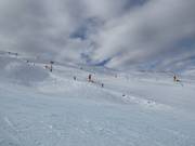 Piste difficile Race Arena