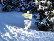 Mörsbachalm – domaine skiable libre