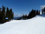 Descente Rock'n'Roll