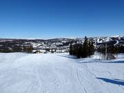 Piste facile Vesleseterbakken