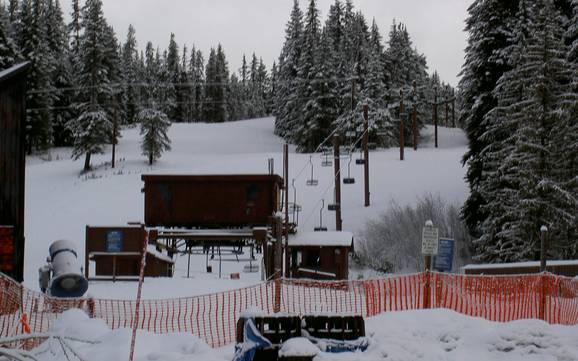 Skier à Governemt Camp