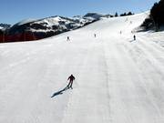 Très bonne préparation des pistes