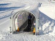 Förderbänder Pardiel - Tapis roulant/Moving Carpet recouvert d’une galerie