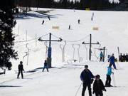 Camelback Platter - Téléski