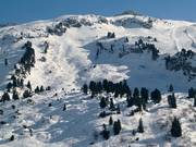 Pentes de poudreuse au Saloberkopf