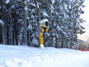 Canon à neige performant