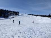 Piste facile et large Familjebacken à Hundfjället