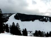 Pistes au téléski Stübenwasen