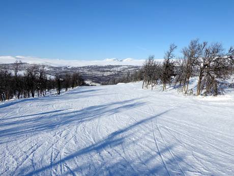 Diversité des pistes Herdalie (Härjedalen) – Diversité des pistes Ramundberget