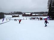 Zone débutants Sunny Side avec tapis roulants