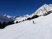Descente de l'alpage