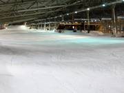 Descente FIS avec Almhütte