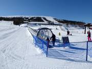 Bon plan pour les enfants : 