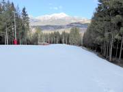 Large piste Olimpia III