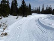 Pistes de ski de fond à Sjusjøen