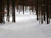Pistes de ski de fond traversant la forêt