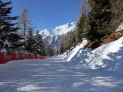 Chemin de la piste Doss dei Cembri