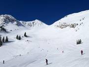 Pistes dans le Mineral Basin