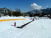 Tapis roulant Mini Moose