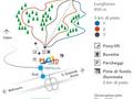 Plan des pistes Prato (Leventina)