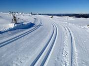 Piste de ski de fond Toppspåret au sommet
