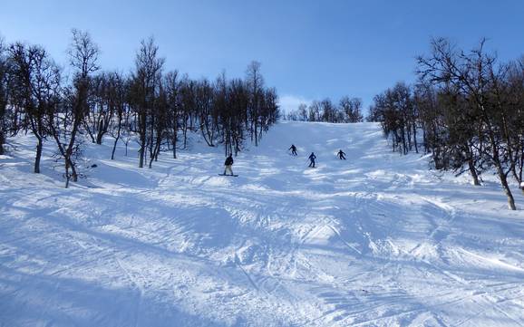 Domaines skiables pour skieurs confirmés et freeriders Funäsfjällen – Skieurs confirmés, freeriders Tänndalen
