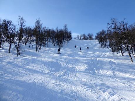 Domaines skiables pour skieurs confirmés et freeriders Herdalie (Härjedalen) – Skieurs confirmés, freeriders Tänndalen