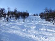 Piste difficile Maggans Fall n° 16