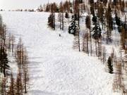 Clairière forestière au téléphérique Pelevos