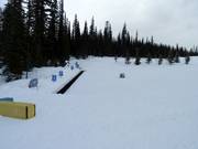 Zone débutants dans le Happy Valley avec tapis roulant
