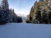 Piste facile Seehof