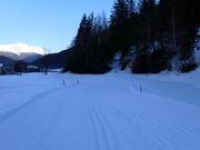 Piste de ski de fond à Isolaccia