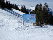 Informations sur le ski safari