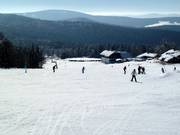 Pistes faciles près du près du téléski Almwiesen