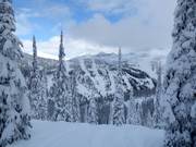 Pentes de poudreuse pour experts