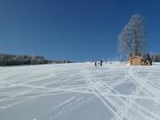 Très bonne préparation des pistes