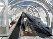 Les tapis roulants sont idéaux pour les enfants.