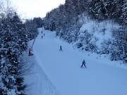 Descente facile en forêt