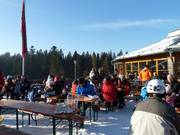 Restaurant avec terrasse ensoleillée