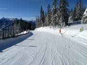 Descente féerique du Rittisberg